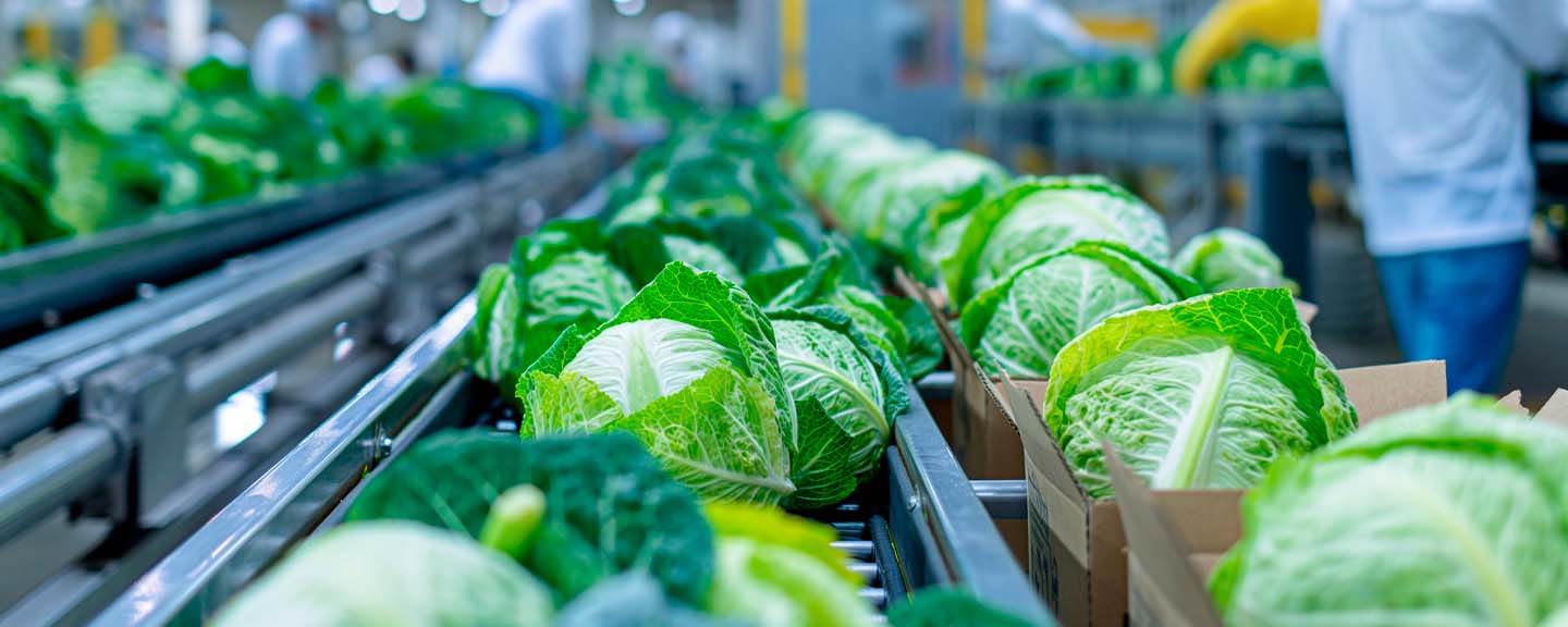 Strategic M&A Insights: Expert-Led Growth Strategies in the Agricultural & Food Production Industry
